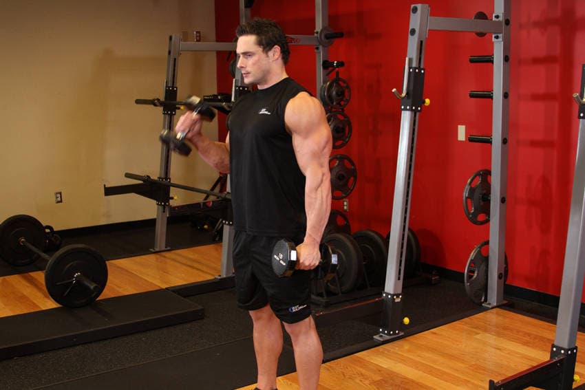 Alternate Hammer Curl, position 1 of 2