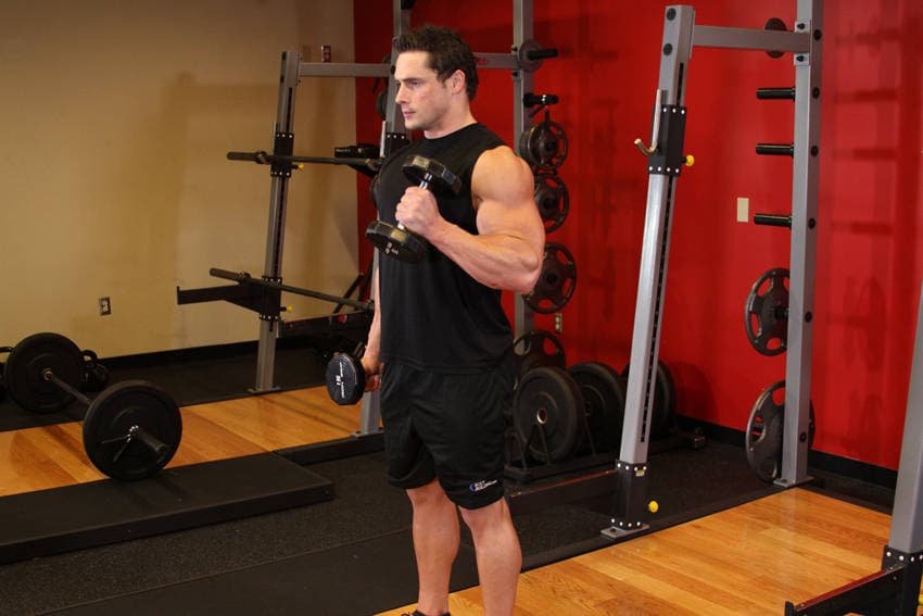 Alternate Hammer Curl, position 2 of 2
