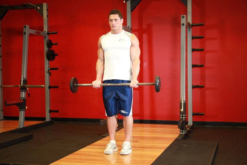 Barbell Curl, position 1 of 2