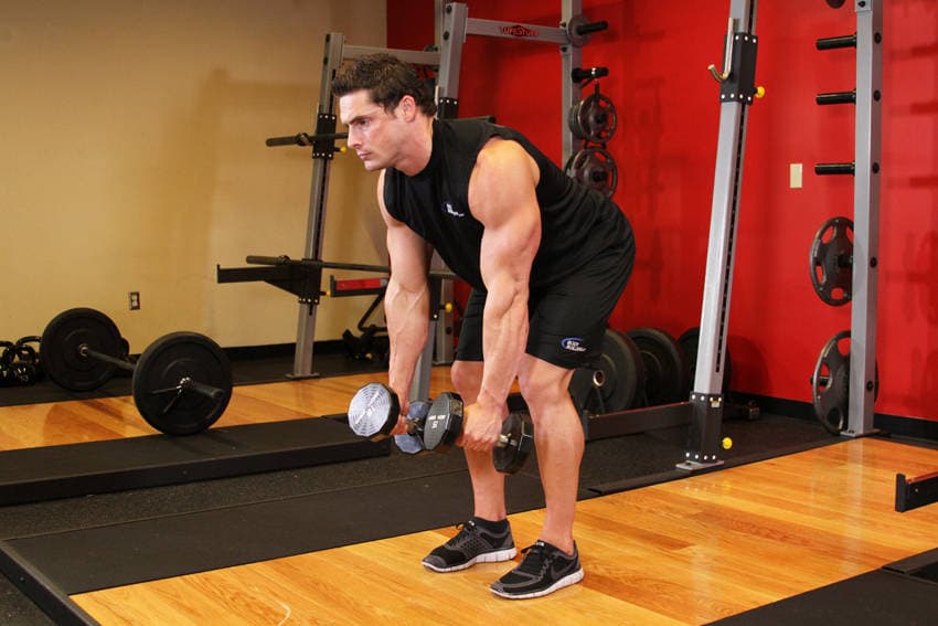 Bent Over Two-Dumbbell Row, position 1 of 2