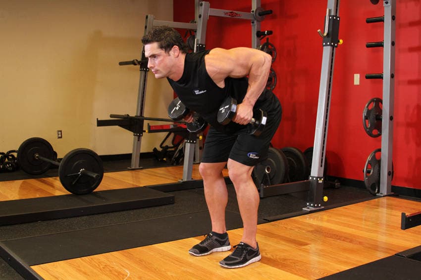 Bent Over Two-Dumbbell Row, position 2 of 2