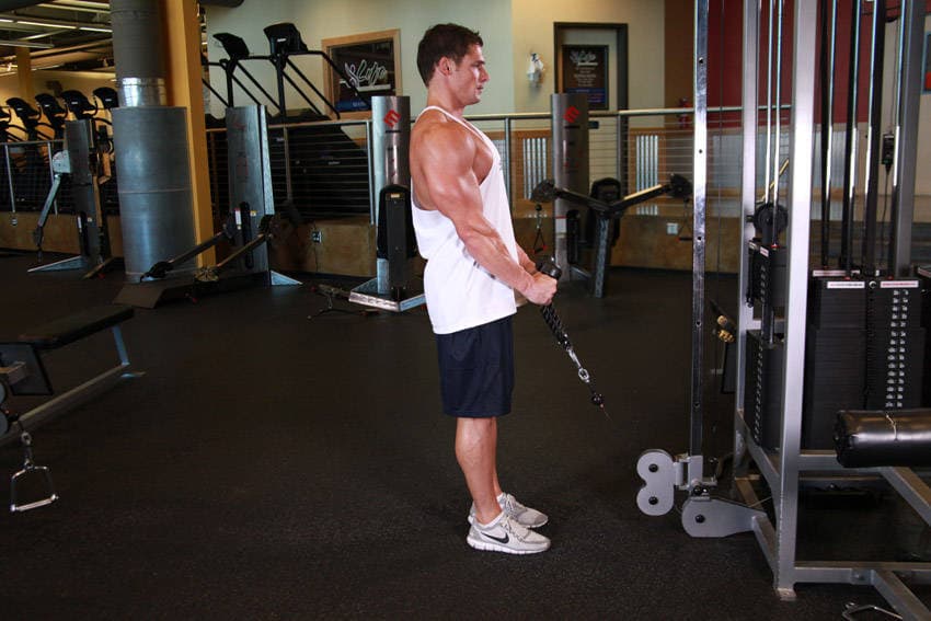 Cable Hammer Curls - Rope Attachment, position 1 of 2
