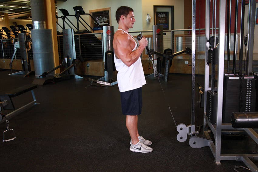 Cable Hammer Curls - Rope Attachment, position 2 of 2