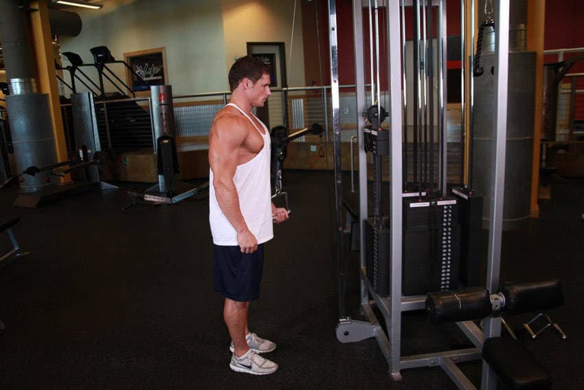Cable One Arm Tricep Extension, position 1 of 2