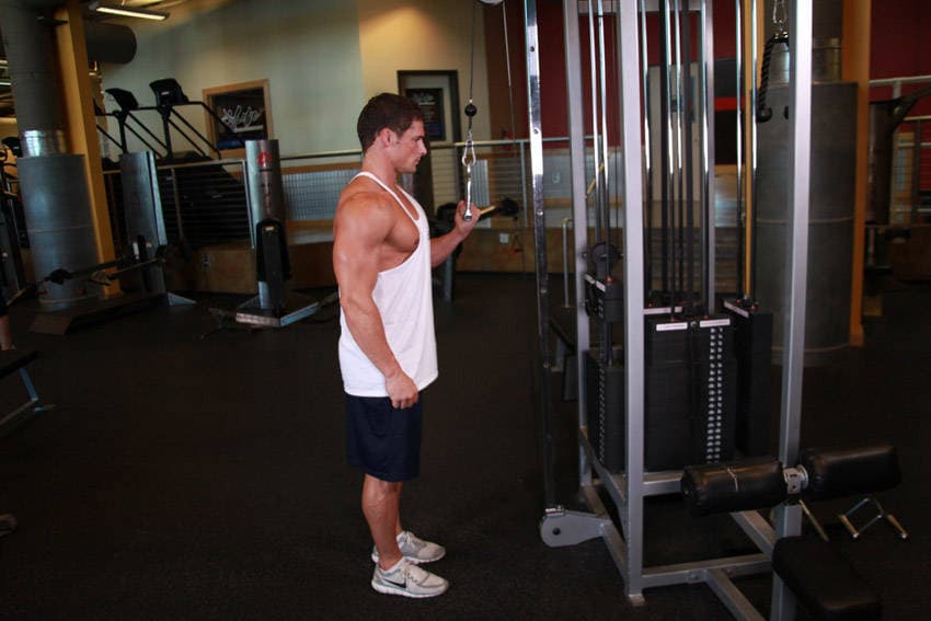 Cable One Arm Tricep Extension, position 2 of 2