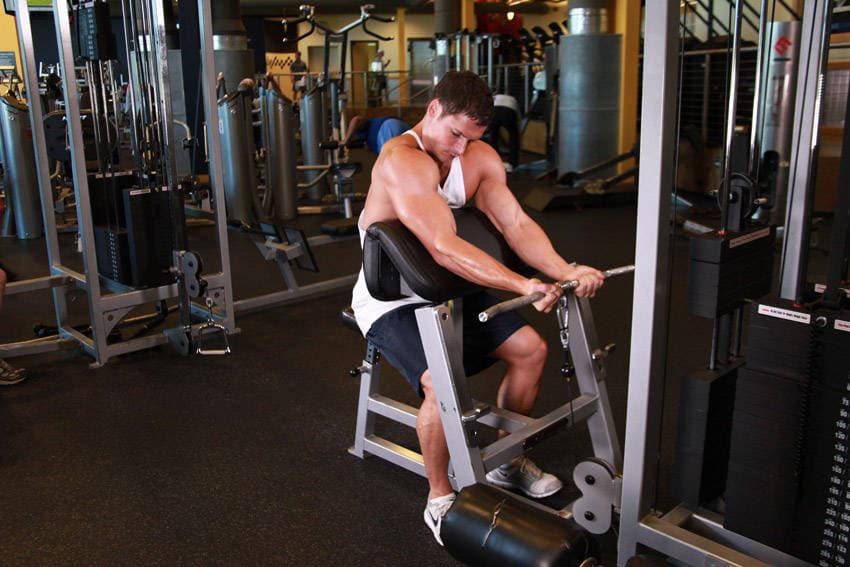 Cable Preacher Curl, position 1 of 2