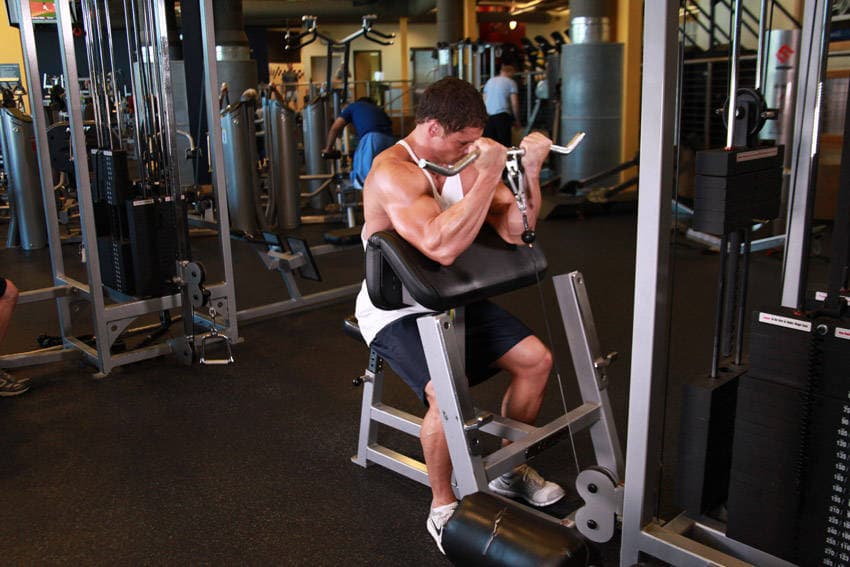 Cable Preacher Curl, position 2 of 2