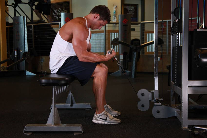 Cable Wrist Curl, position 2 of 2