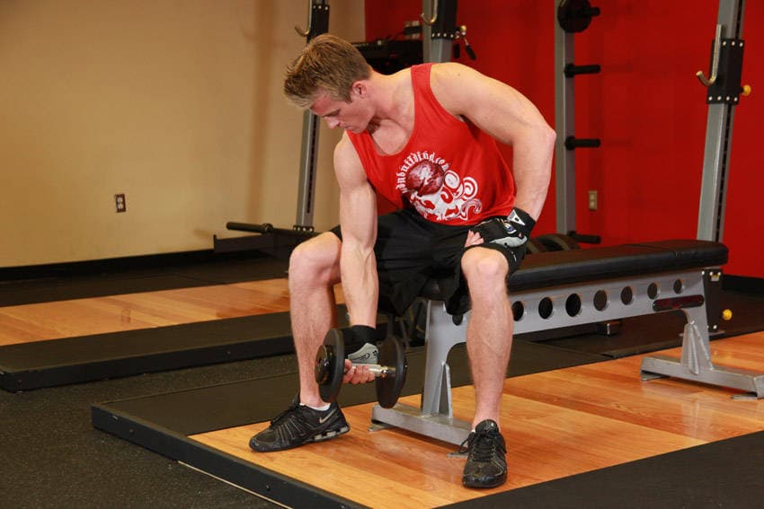 Concentration Curls, position 1 of 2