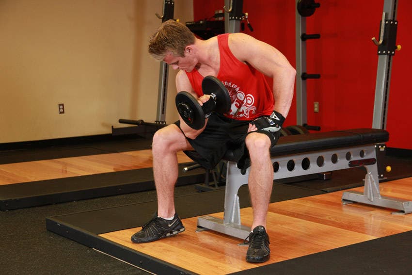 Concentration Curls, position 2 of 2