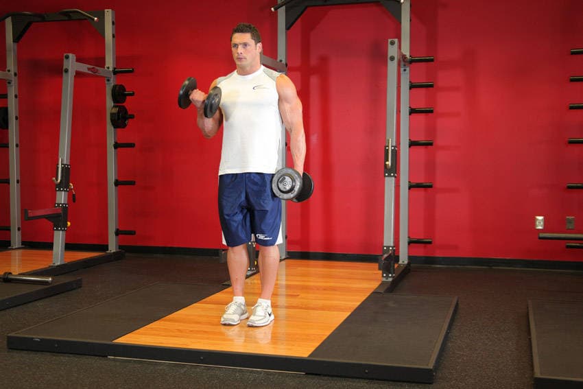 Dumbbell Alternate Bicep Curl, position 1 of 2