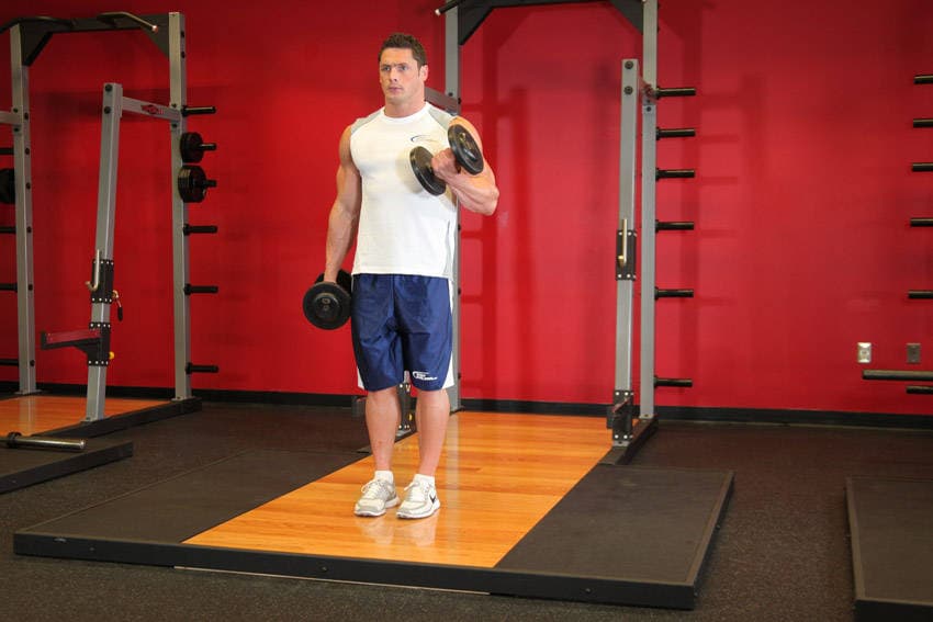 Dumbbell Alternate Bicep Curl, position 2 of 2
