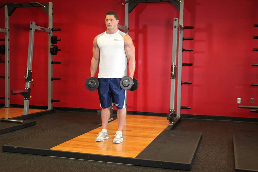 Dumbbell Bicep Curl, position 1 of 2