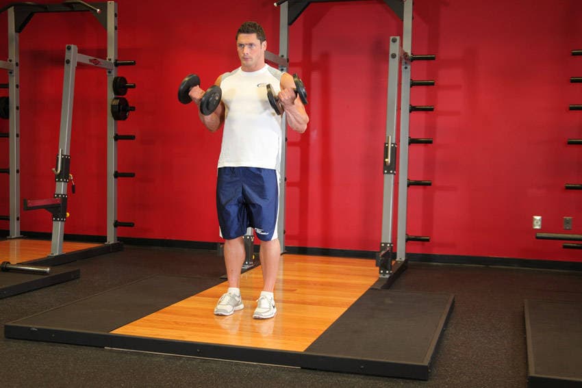 Dumbbell Bicep Curl, position 2 of 2