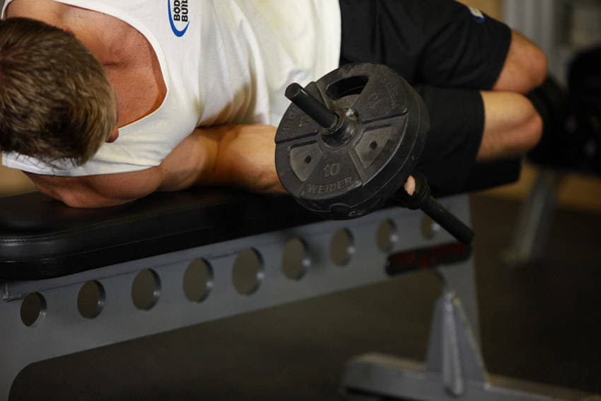Dumbbell Lying Pronation, position 2 of 2