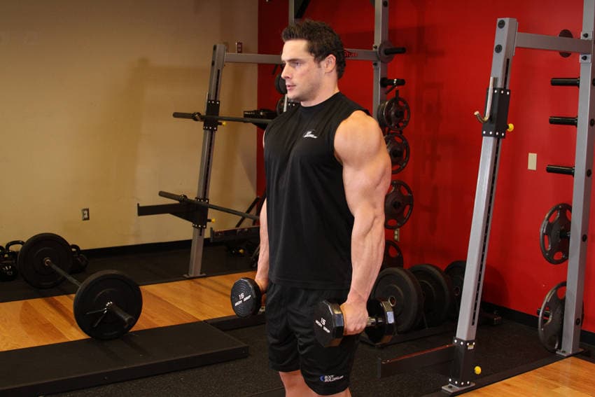 Dumbbell Raise, position 1 of 2
