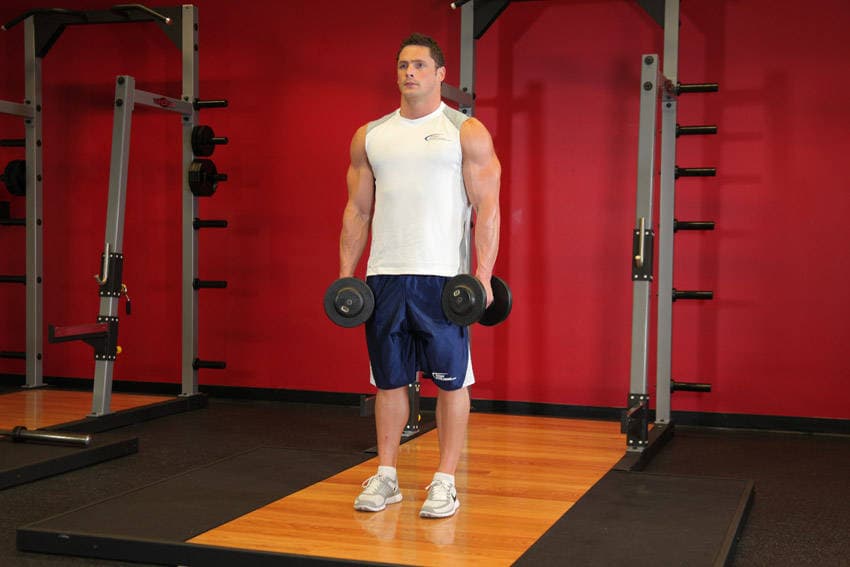 Dumbbell Shrug, position 1 of 2