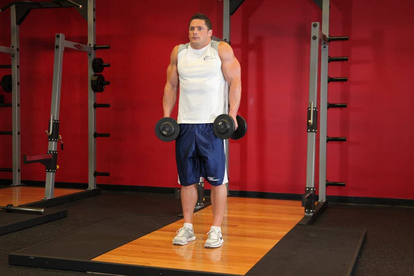 Dumbbell Shrug, position 2 of 2