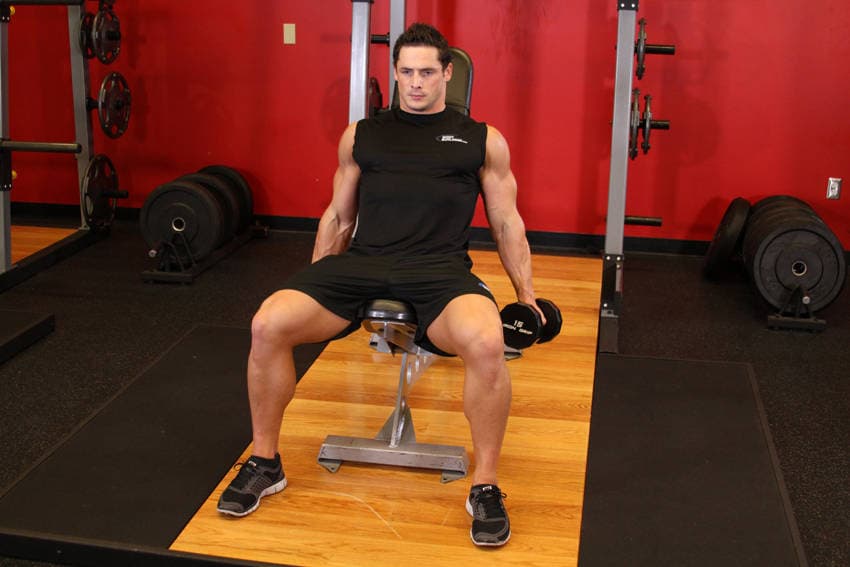 Flexor Incline Dumbbell Curls, position 1 of 2