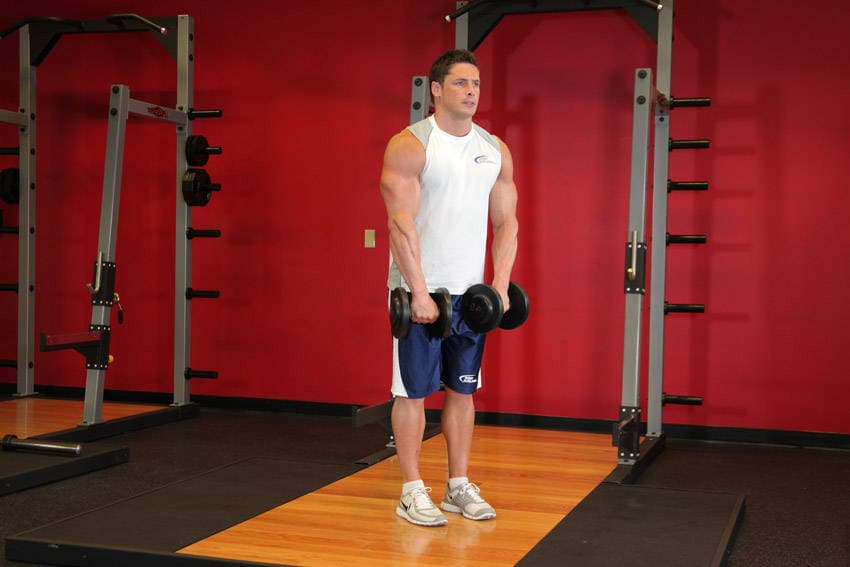 Front Dumbbell Raise, position 1 of 2