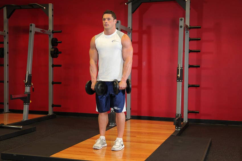 Front Two-Dumbbell Raise, position 1 of 2