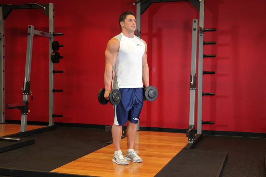 Hammer Curls, position 1 of 2
