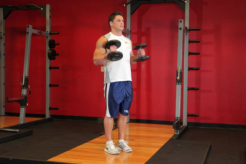 Hammer Curls, position 2 of 2