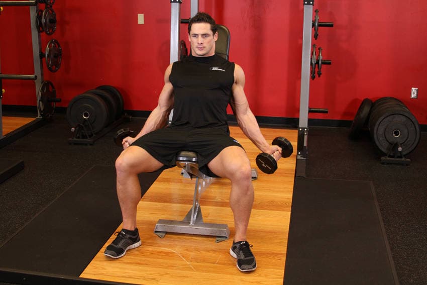 Incline Inner Biceps Curl, position 1 of 2