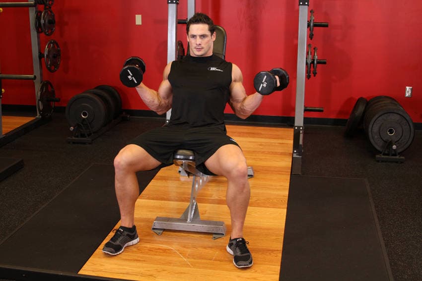 Incline Inner Biceps Curl, position 2 of 2