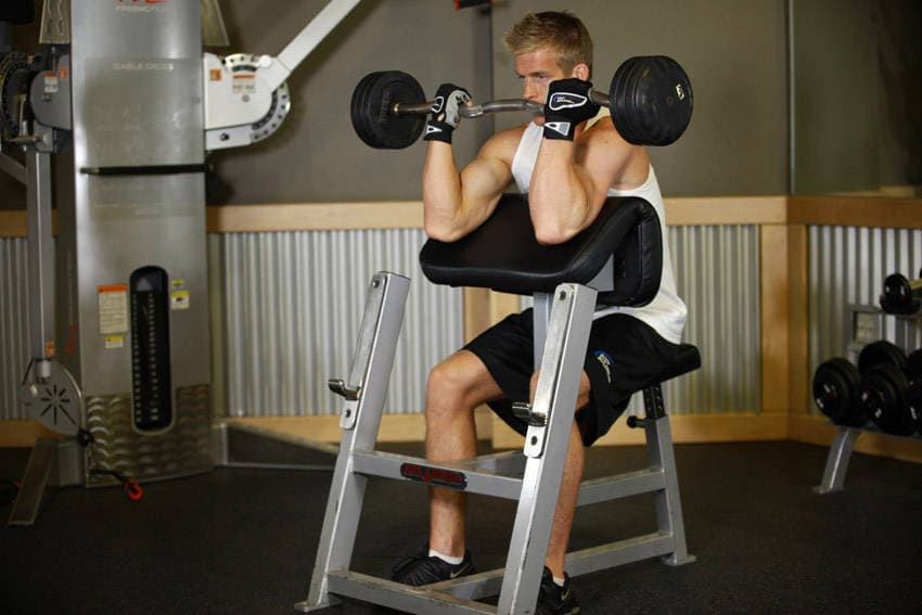Preacher Curl, position 2 of 2