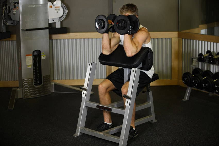 Preacher Hammer Dumbbell Curl, position 2 of 2