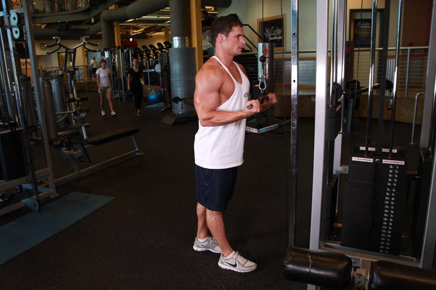 Reverse Grip Triceps Pushdown, position 1 of 2
