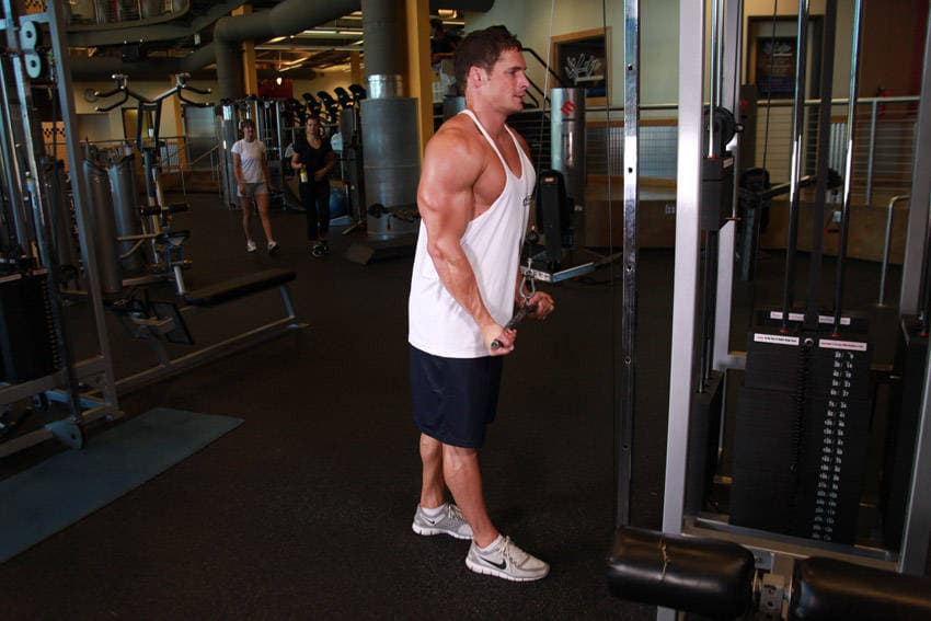 Reverse Grip Triceps Pushdown, position 2 of 2