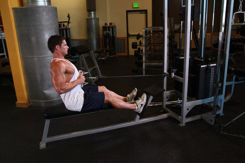 Seated Cable Rows, position 2 of 2