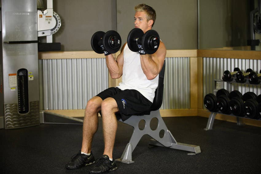 Seated Dumbbell Curl, position 2 of 2