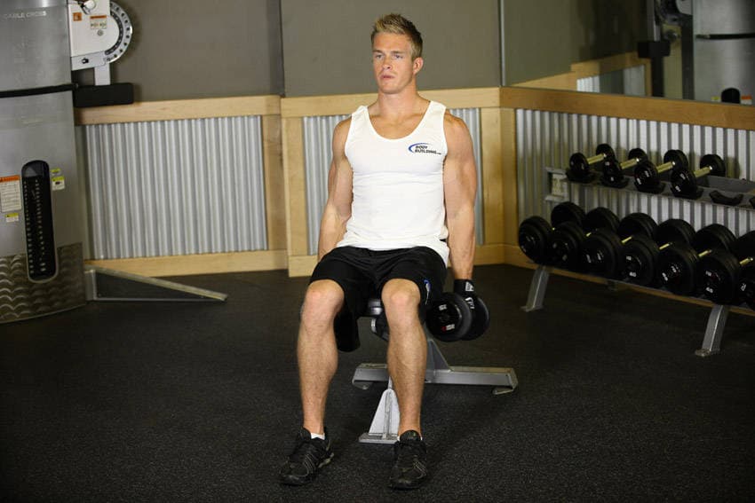 Seated Dumbbell Inner Biceps Curl, position 1 of 2