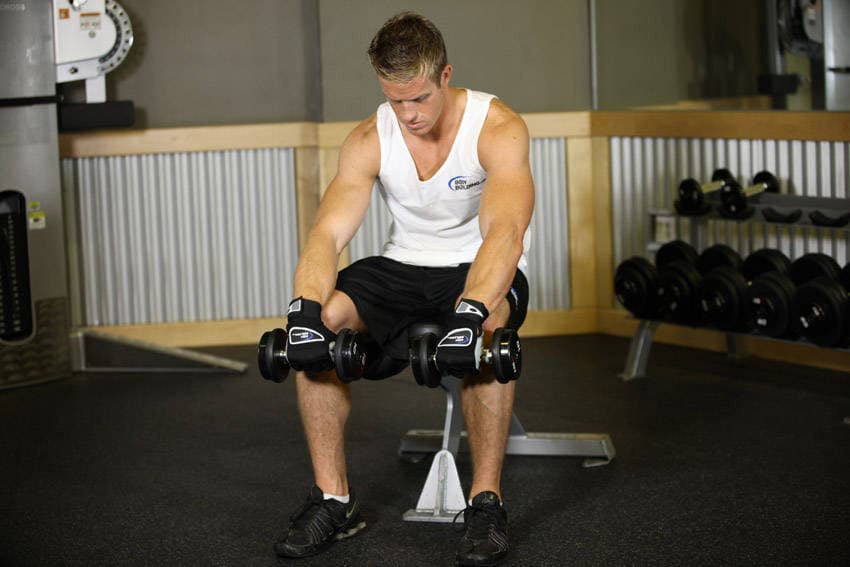 Seated Dumbbell Palms-Down Wrist Curl, position 1 of 2