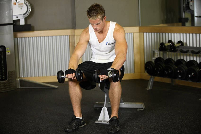 Seated Dumbbell Palms-Down Wrist Curl, position 2 of 2