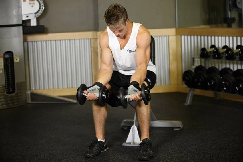 Seated Dumbbell Palms-Up Wrist Curl, position 1 of 2