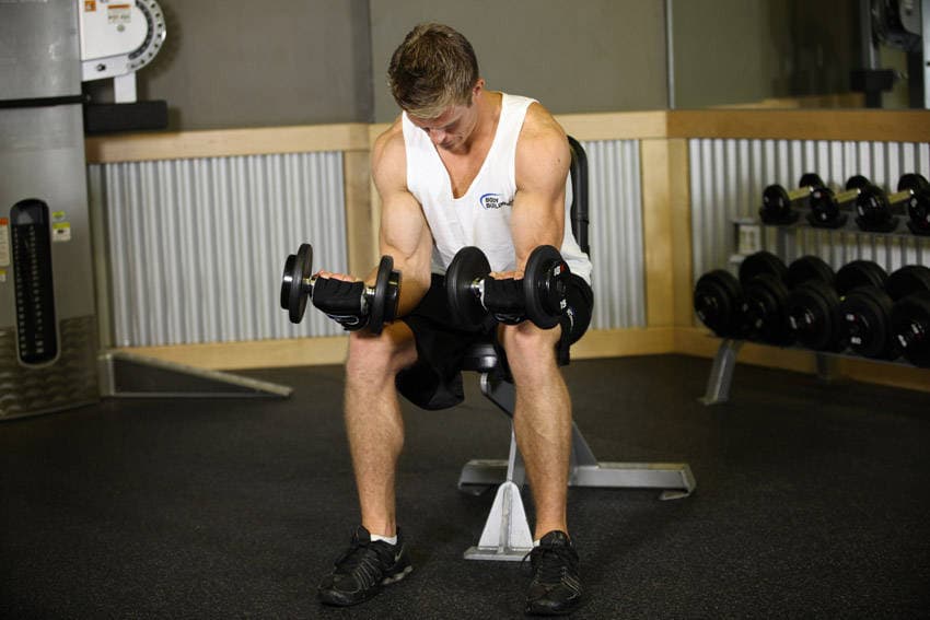 Seated Dumbbell Palms-Up Wrist Curl, position 2 of 2
