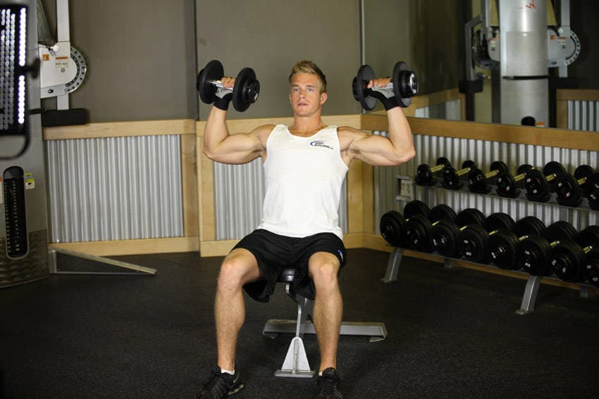 Seated Dumbbell Press, position 2 of 2