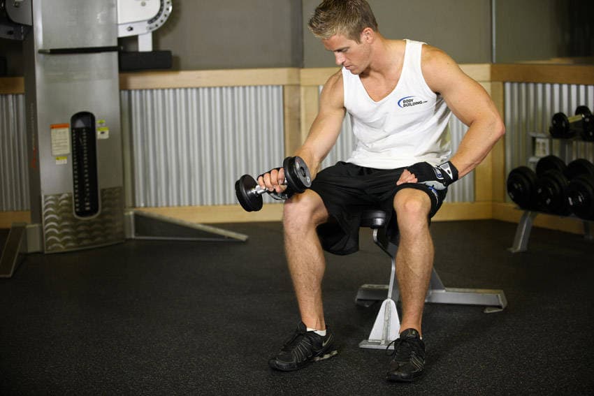 Seated One-Arm Dumbbell Palms-Down Wrist Curl, position 2 of 2