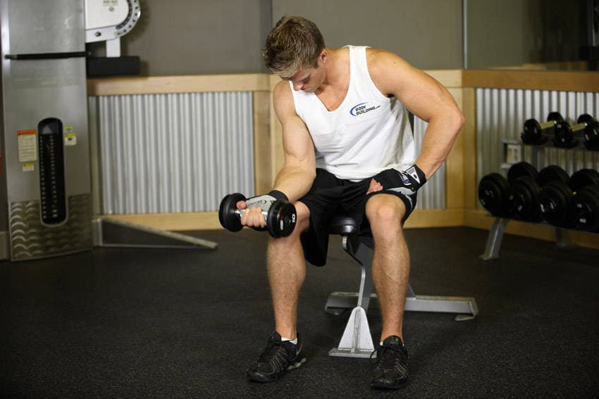 Seated One-Arm Dumbbell Palms-Up Wrist Curl, position 1 of 2