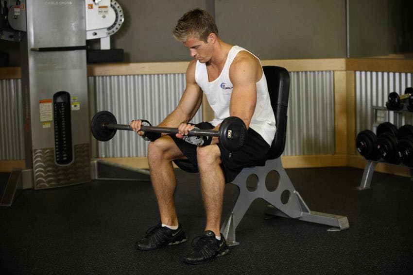 Seated Palms-Down Barbell Wrist Curl, position 2 of 2