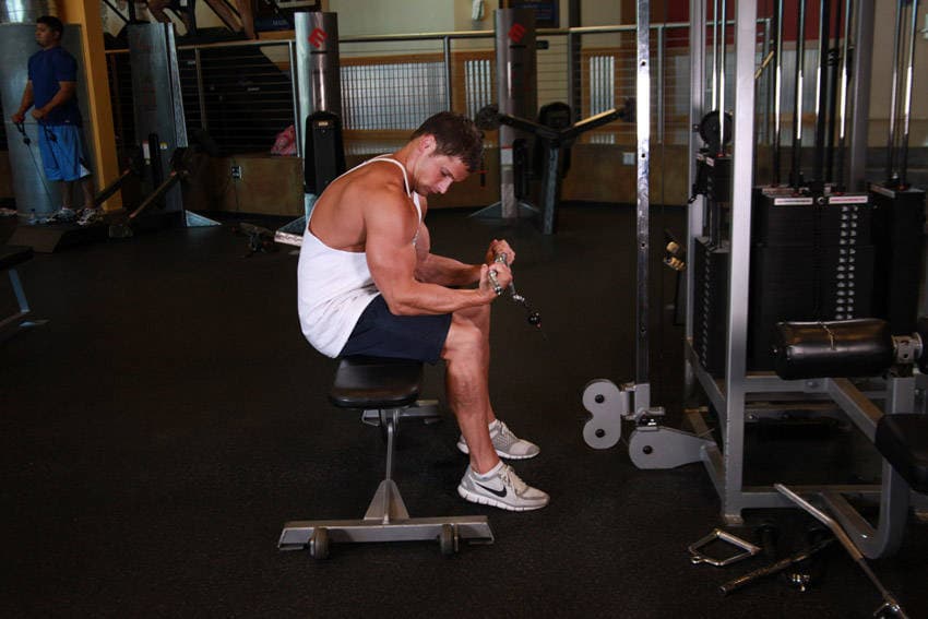 Seated Two-Arm Palms-Up Low-Pulley Wrist Curl, position 2 of 2
