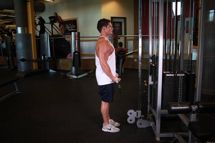 Standing Biceps Cable Curl, position 1 of 2