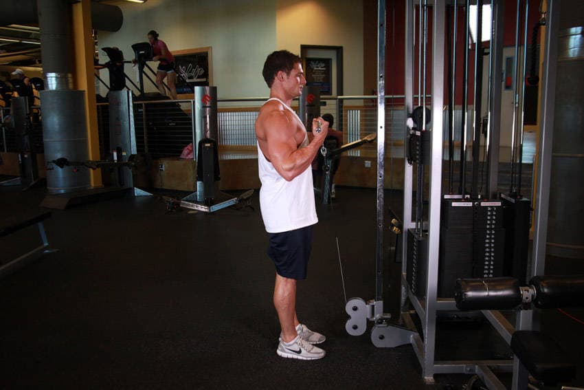 Standing Biceps Cable Curl, position 2 of 2