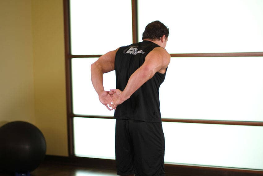 Standing Biceps Stretch, position 2 of 2