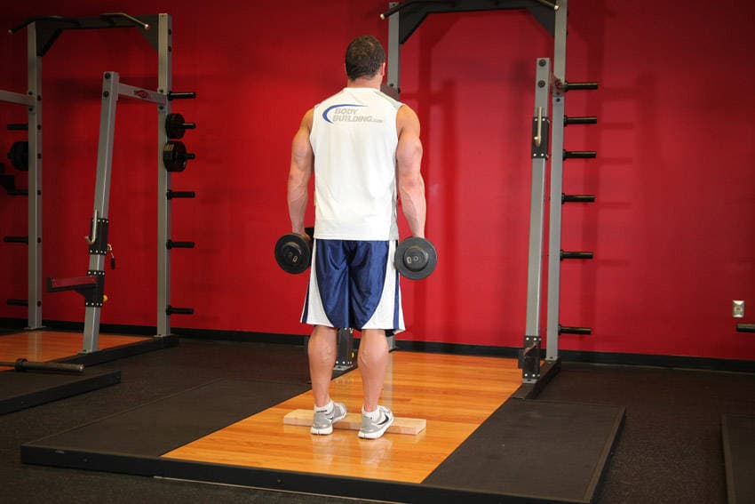 Standing Dumbbell Calf Raise, position 1 of 2