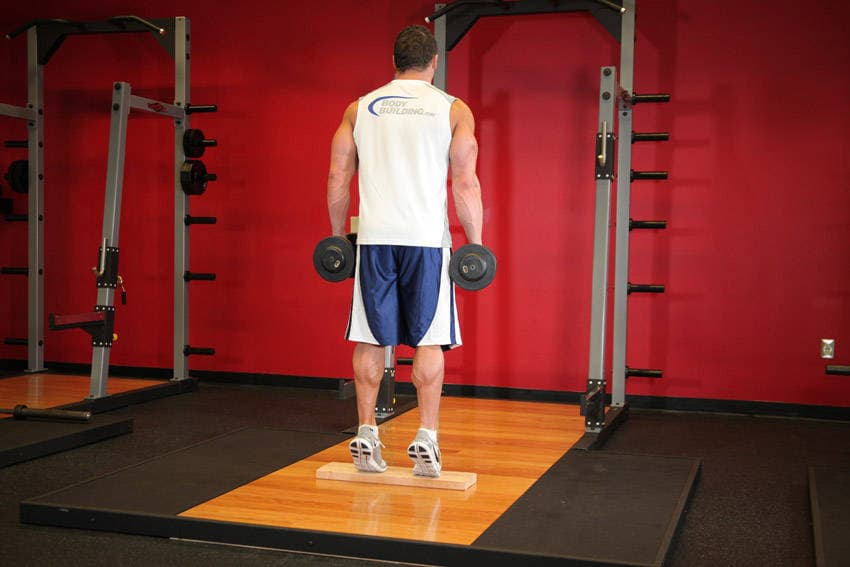 Standing Dumbbell Calf Raise, position 2 of 2
